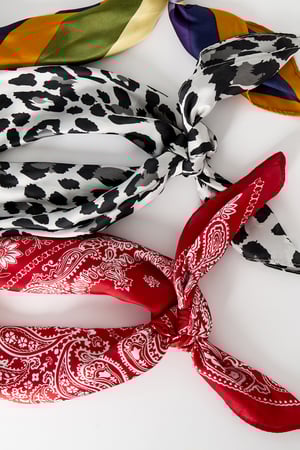 Red scarf h5 Picture3